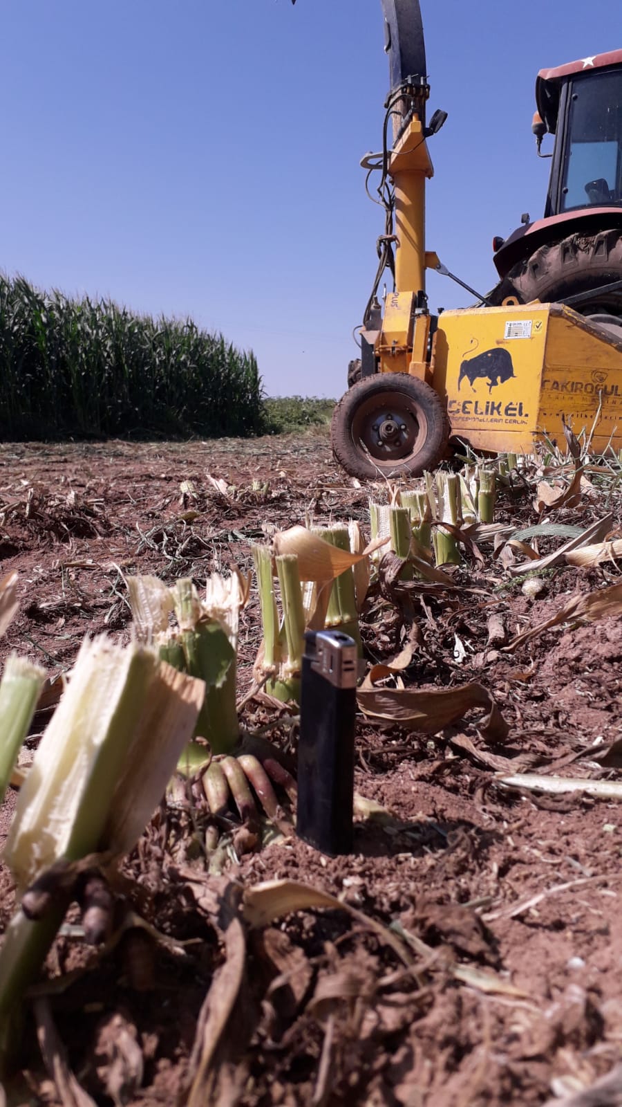 Asaf Tarım ve Hayvancılık